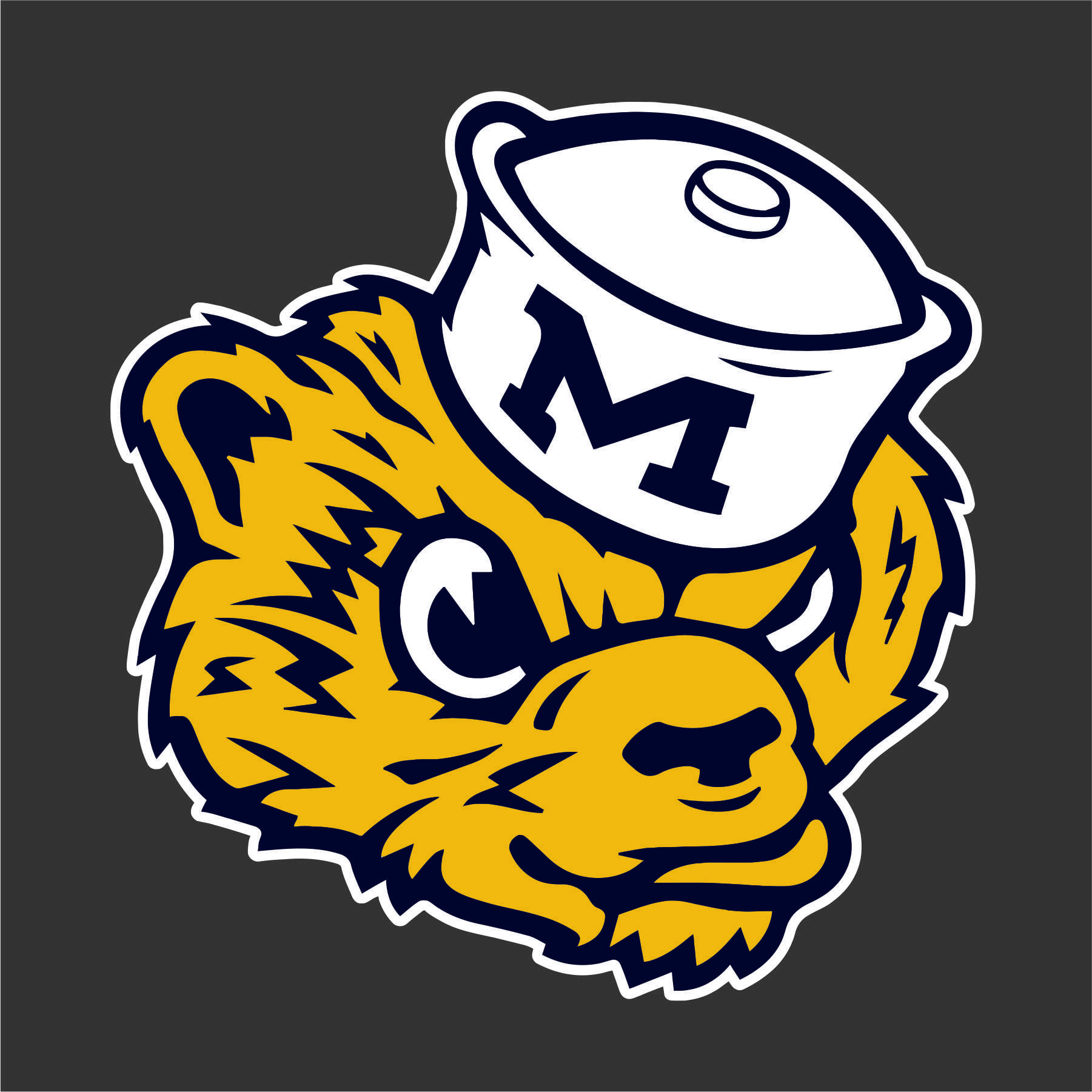 Michigan Wolverines 1948-1963 Primary Logo v2 iron on transfers for T-shirts
